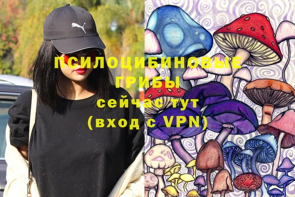 ПСИЛОЦИБИНОВЫЕ ГРИБЫ Чита