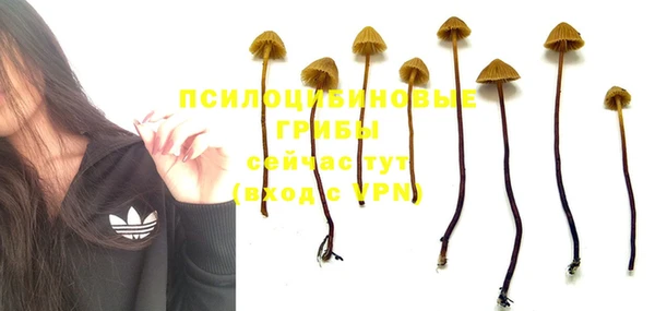СК Янаул