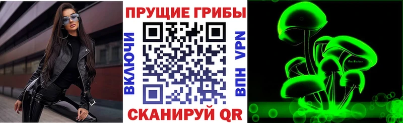 Галлюциногенные грибы MAGIC MUSHROOMS  купить закладку  Бабушкин 