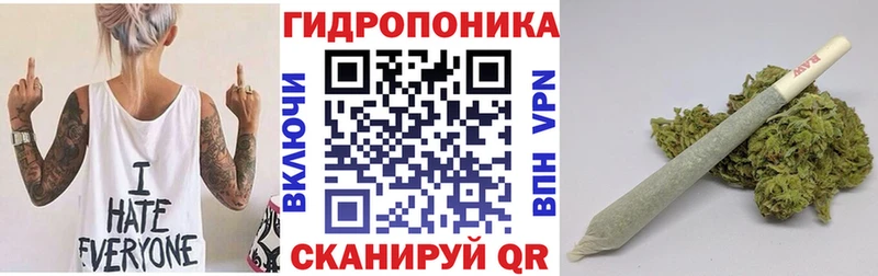 купить наркоту  Бабушкин  МАРИХУАНА планчик 